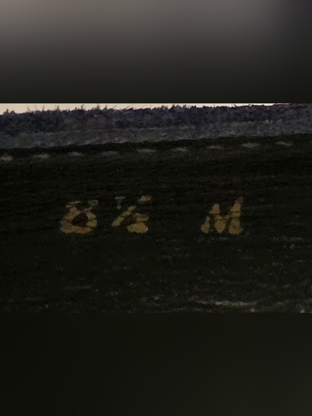 *NEW Stuart Weitzman Navy Suede Cork Wedge Pumps 8 1/2 - Picture 6 of 15